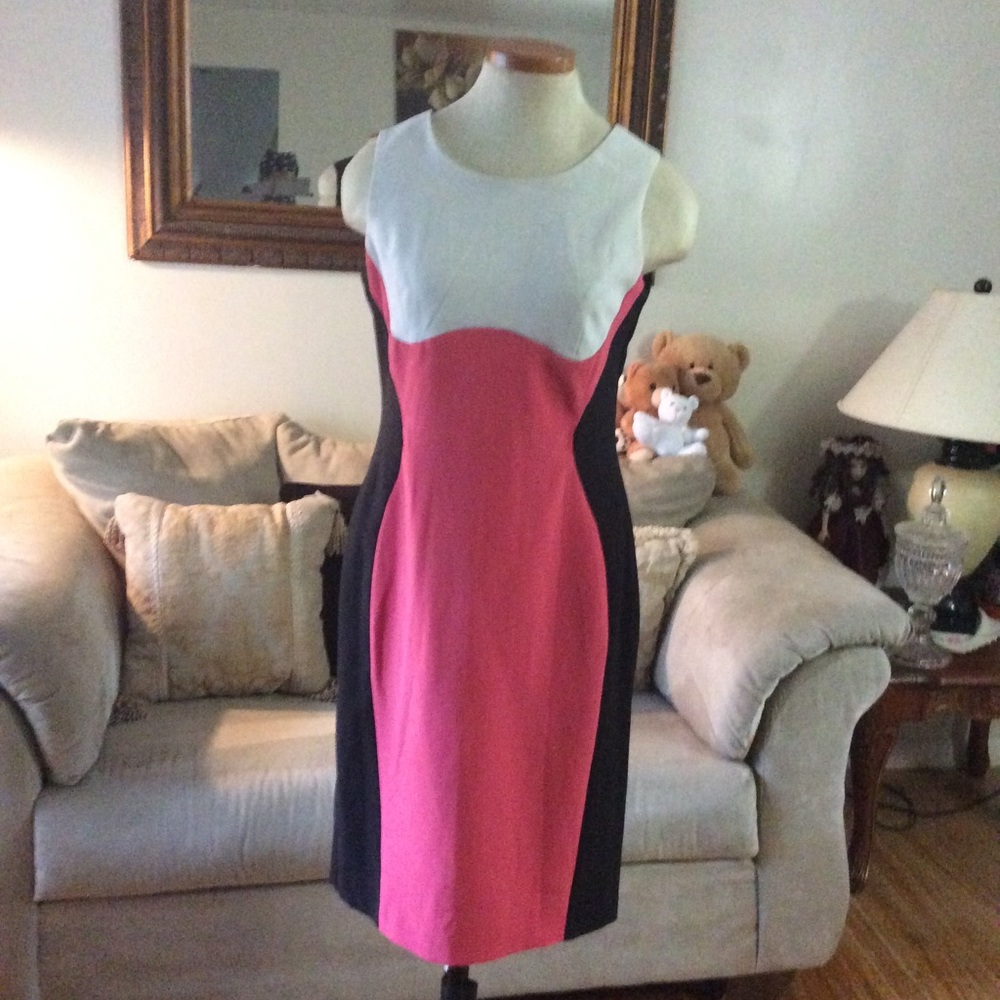 Ronni Nicole. Women dress size 6 color Bl,Pk. Pk.